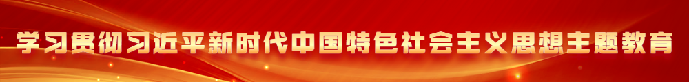 学习贯彻习近平新时代中国特色社会主义思想主题教育