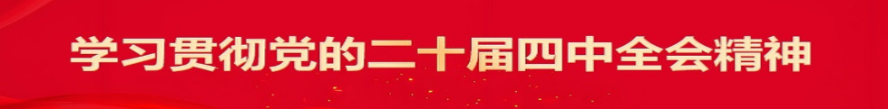 学习贯彻党的二十届四中全会精神